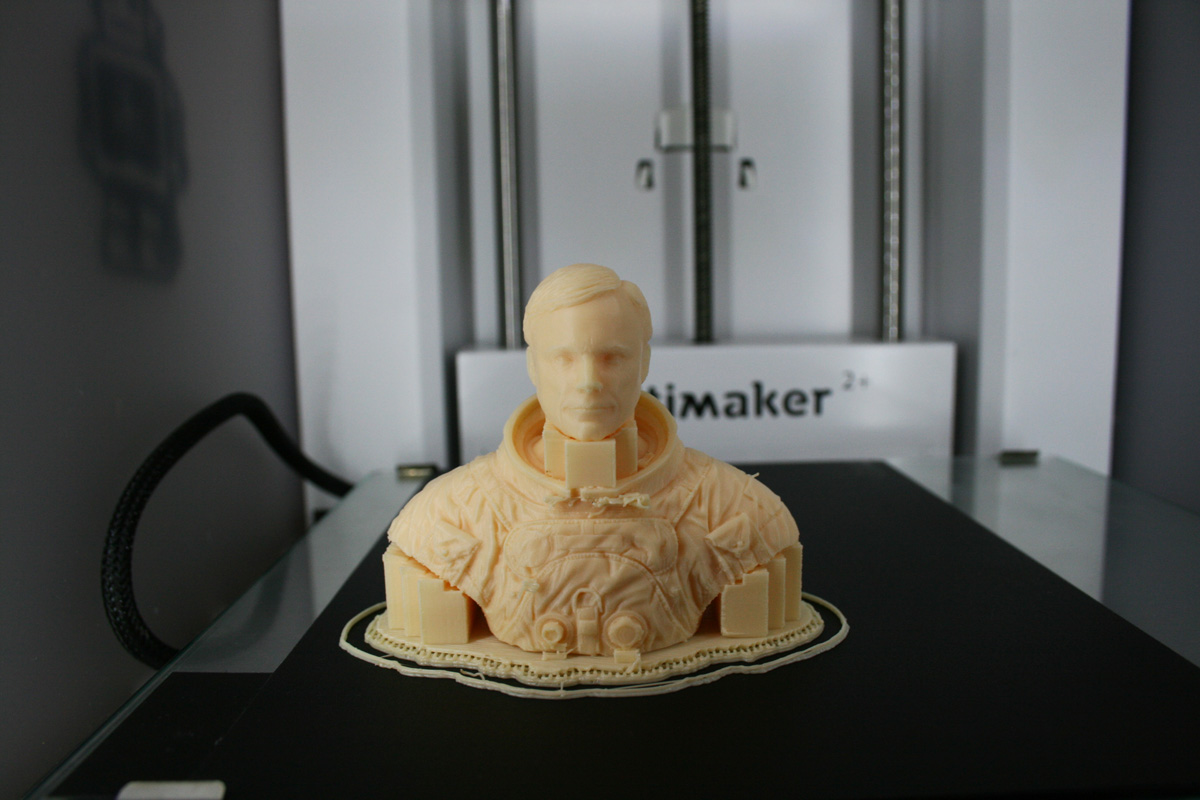 Astronaut Bust