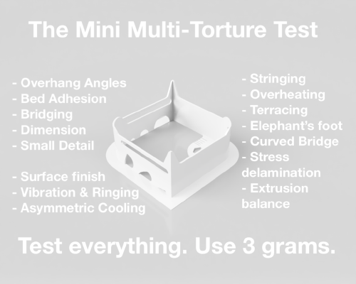 The Mini Multi-Torture Test | 3d print model
