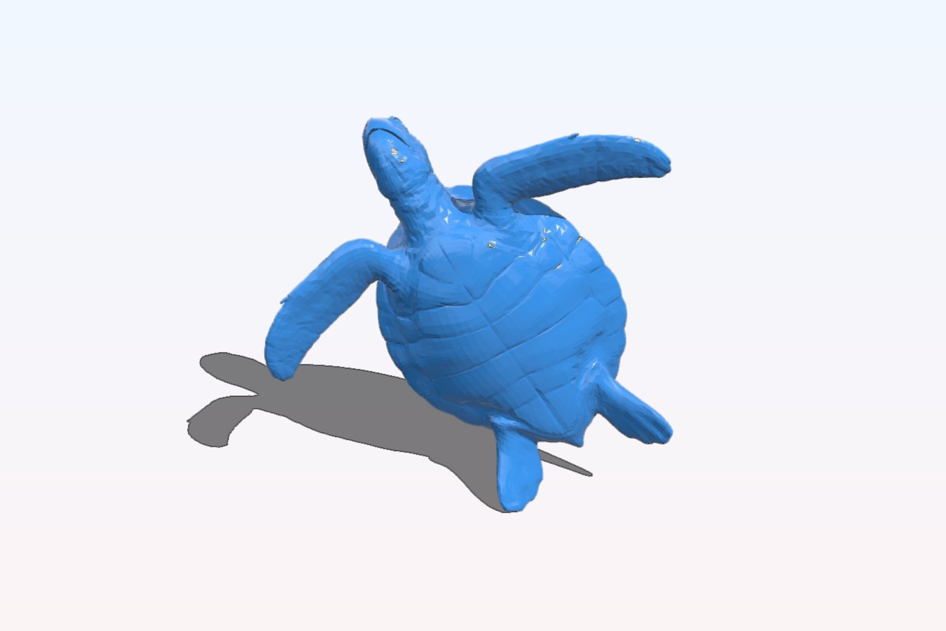 Sea turtle