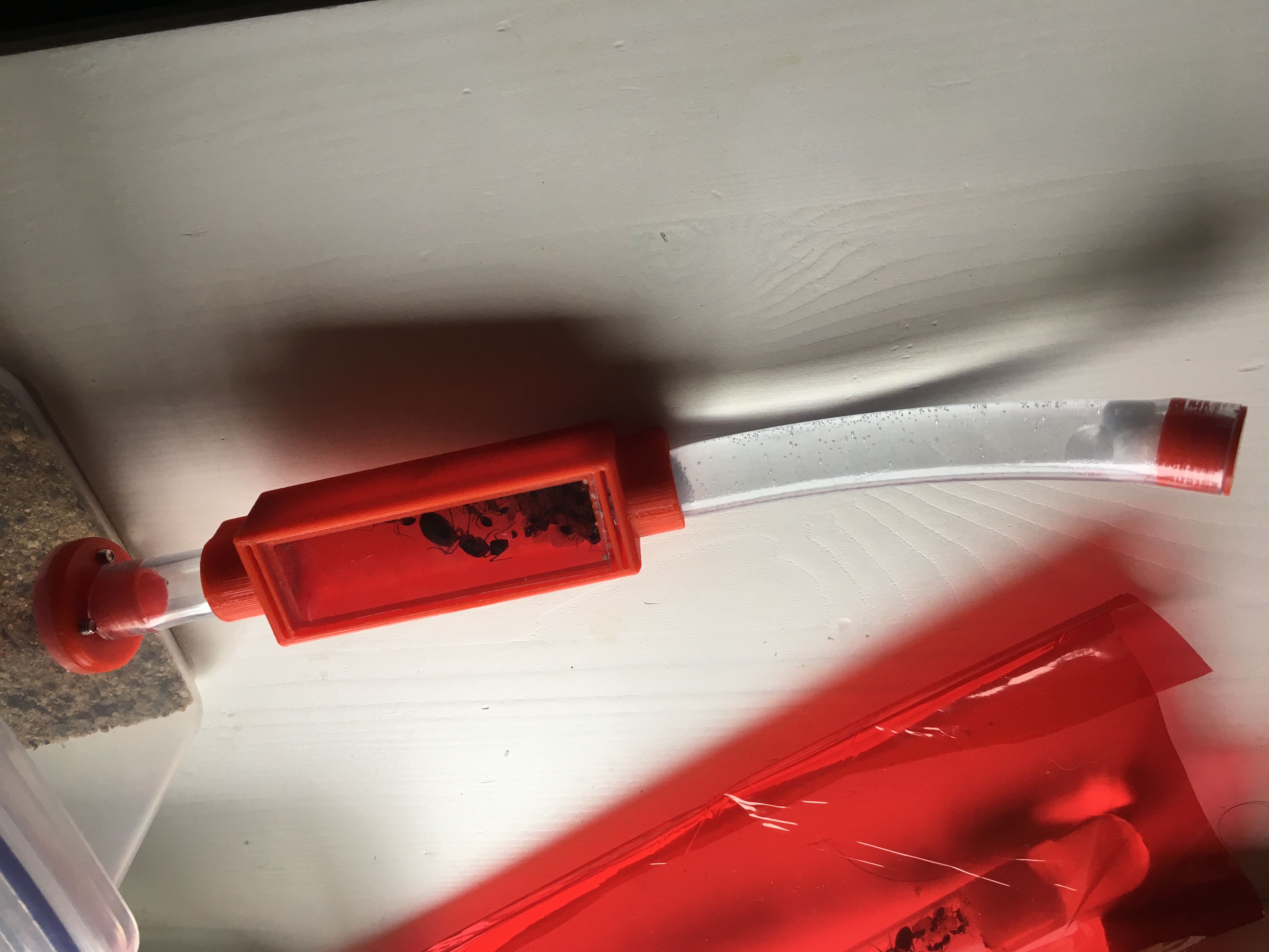 Ant Keeping Founding Formicarium (Test Tube Replacement)