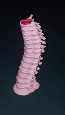 Spine Candle Holder w_ Base | 3d print model