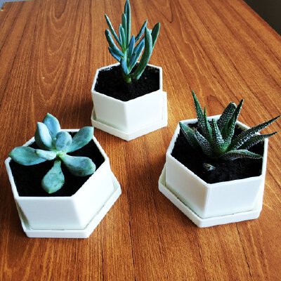 Flower Pot for Succulents | 3d print model