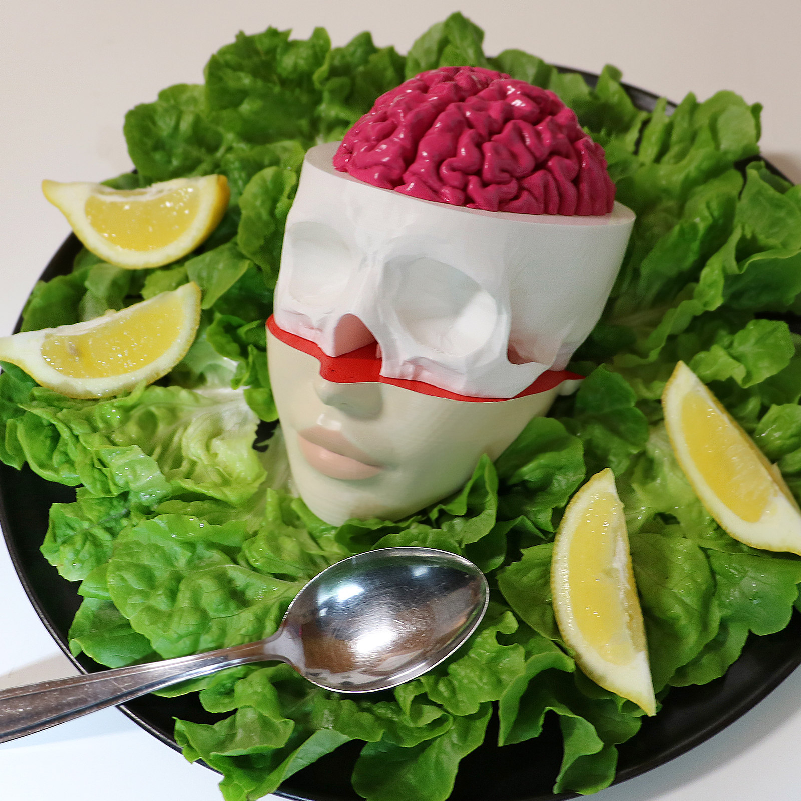 brain skull face