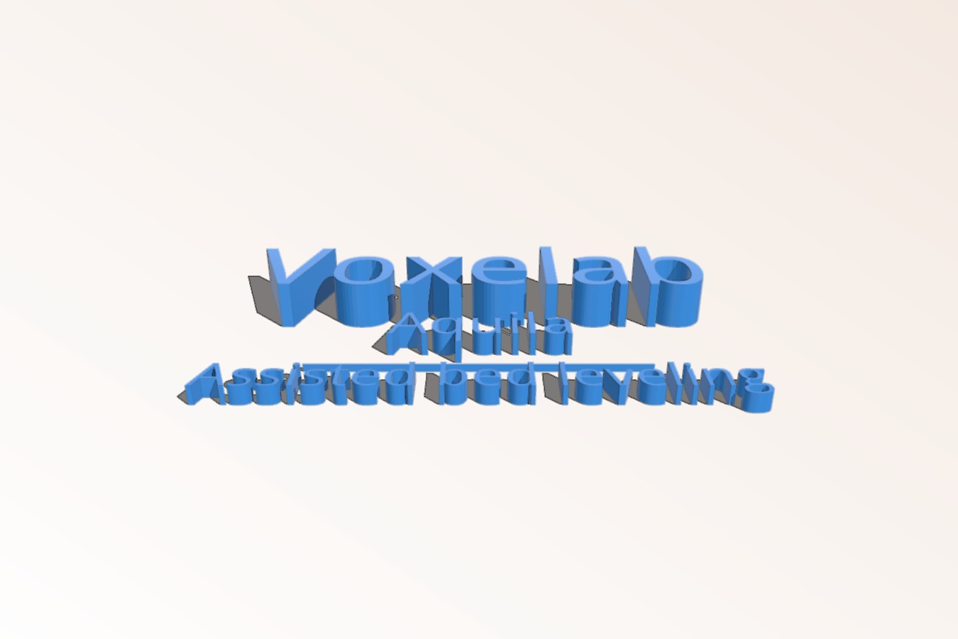 Voxelab Aquila - Assisted bed level