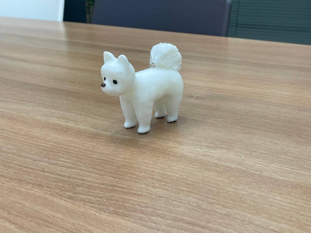 Pomeranian with hairy tail