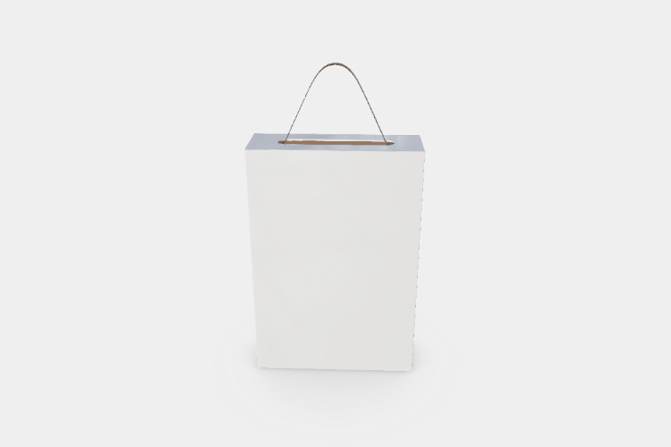 <p>The current mockup is Gift Package Paper Bag, which is commonly used for Shopping Bag, Food Storage, Carry Bag, Holding Bag.</p>