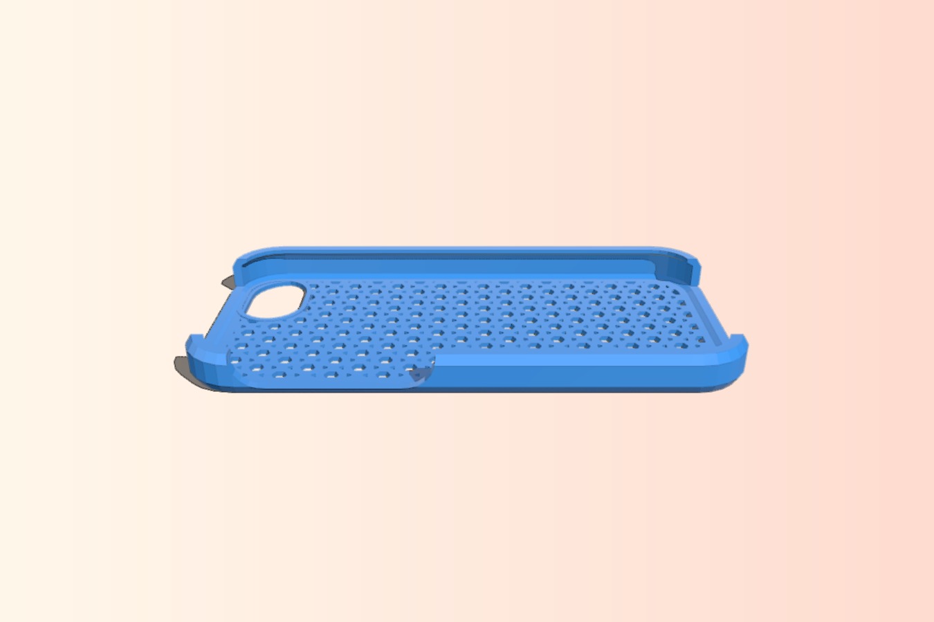 iPhone 5 mesh case