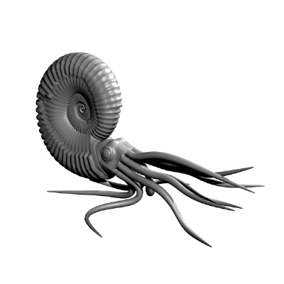 Ammonite head and tentacles | 3d print model