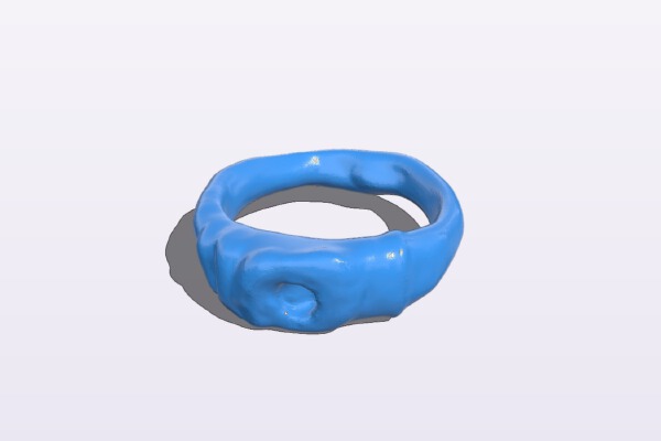Great Swamp Ring | 3d print model
