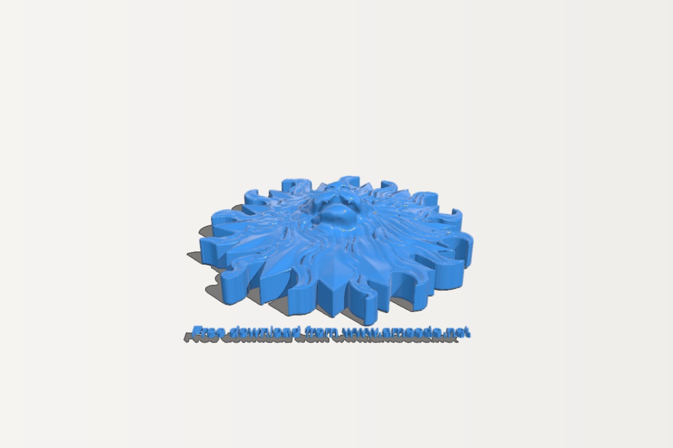 Lion head pattern