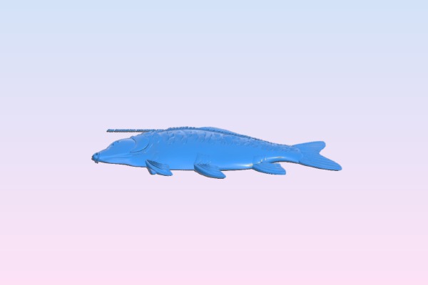 Carp – fish | 3d print model