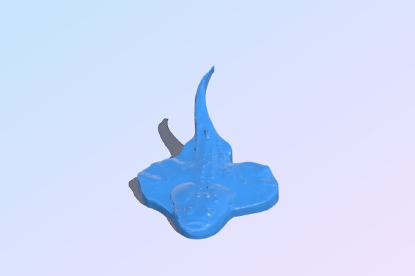 Gemuendina Stuertzi (Repaired) | 3d print model