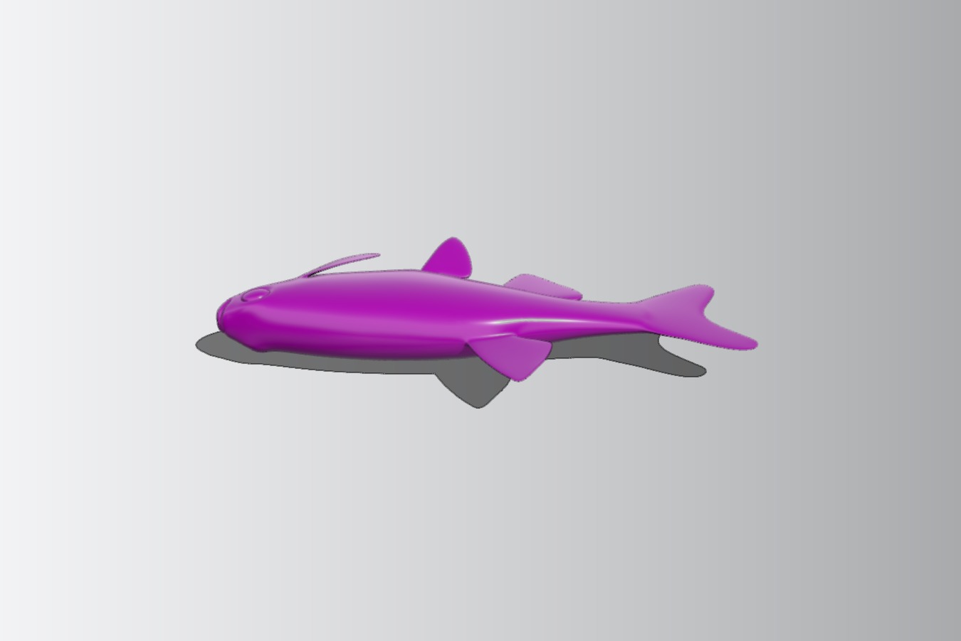White Cloud Mountain Minnow