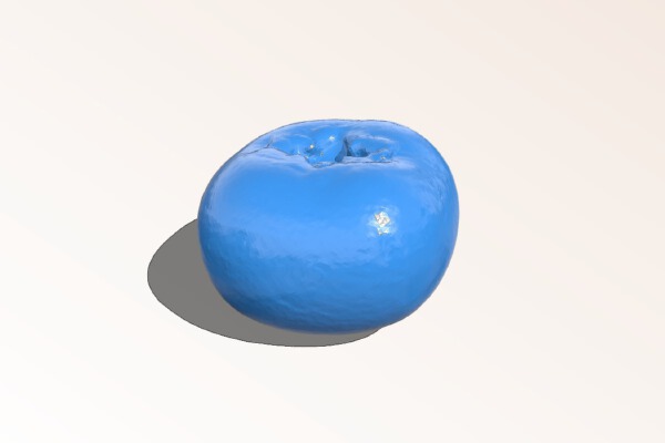 The Persimmon | 3d print model