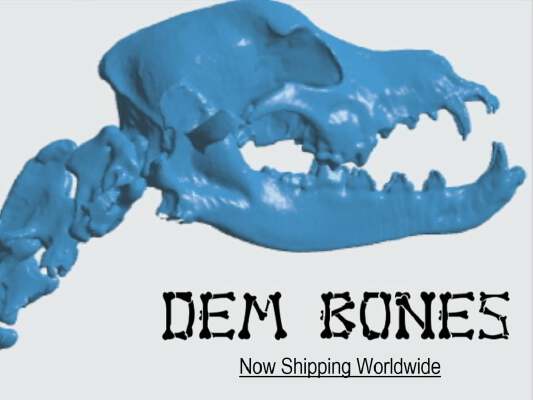 Canine (dog) Bones - Skull & Spine | 3d print model