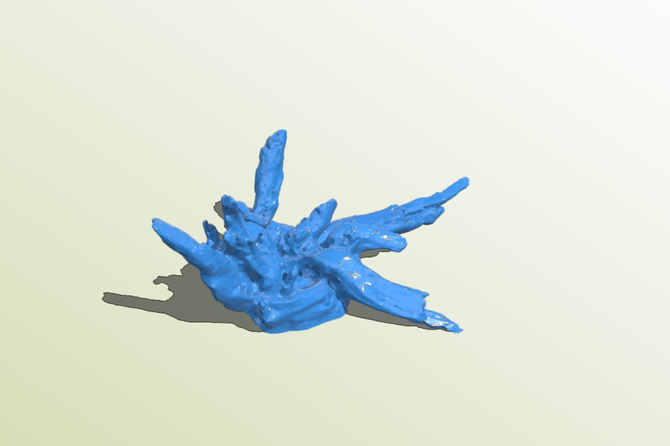 Driftwood scanned with 123D Catch