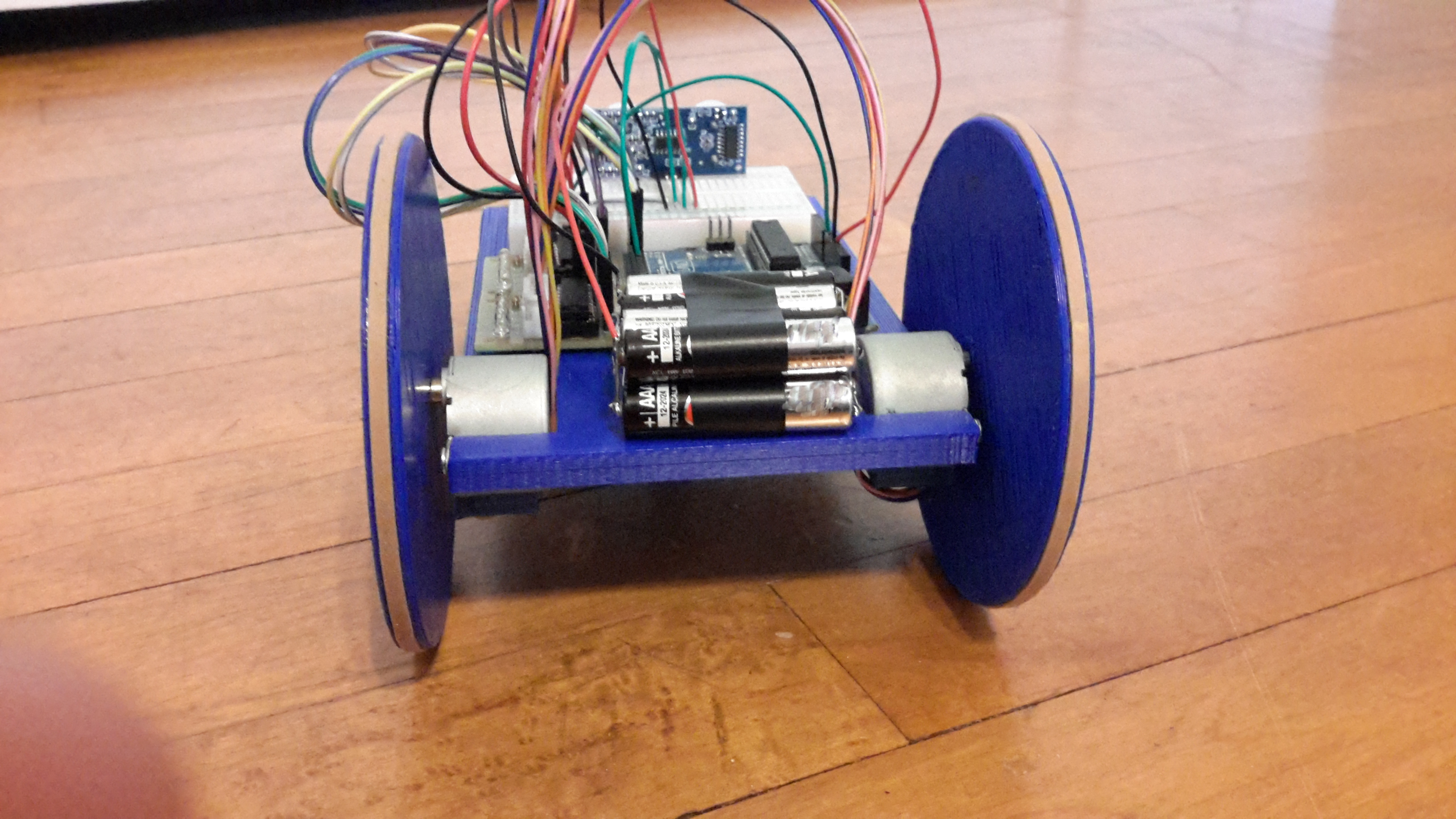Roaming Robot
