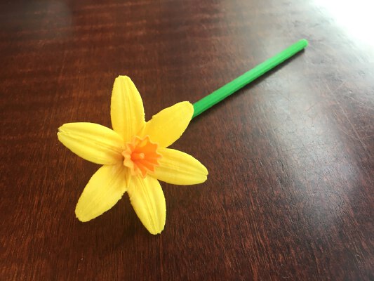Spring Narcissi | 3d print model