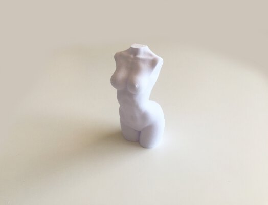 Woman Body - Polygon Reduction | 3d print model