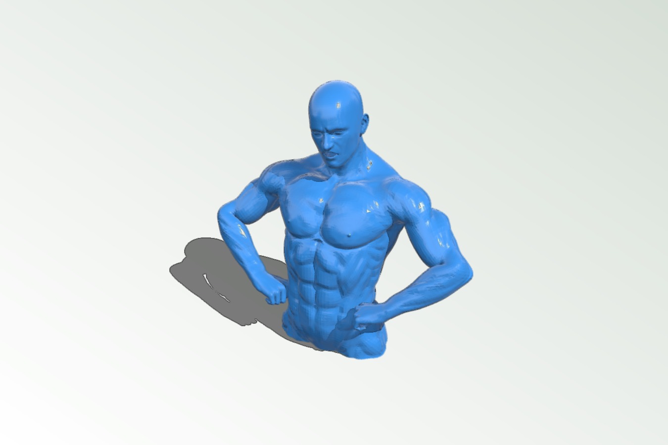 Male Bodybuilder 1 low poly