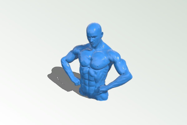 Male Bodybuilder 1 low poly | 3d print model