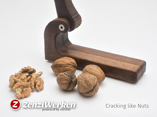 Cracking like Nuts (cnc) | 3d print model