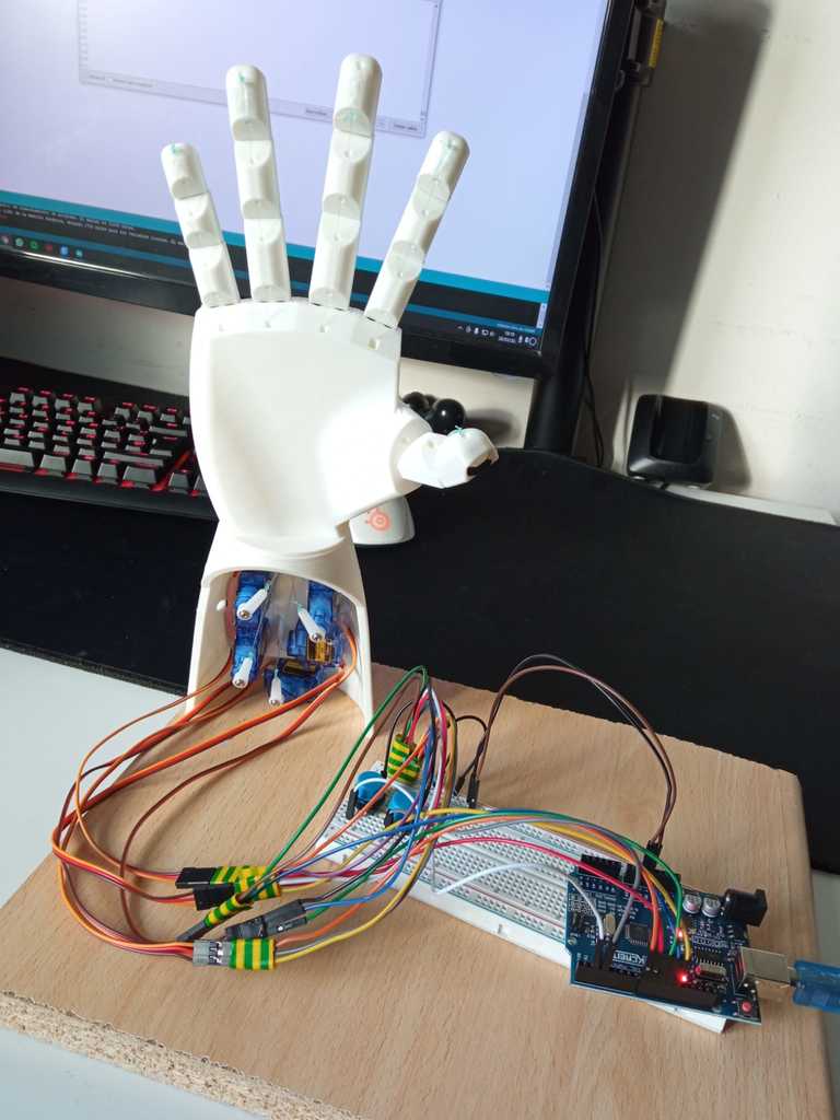 Bionic Hand with 5 individual fingers