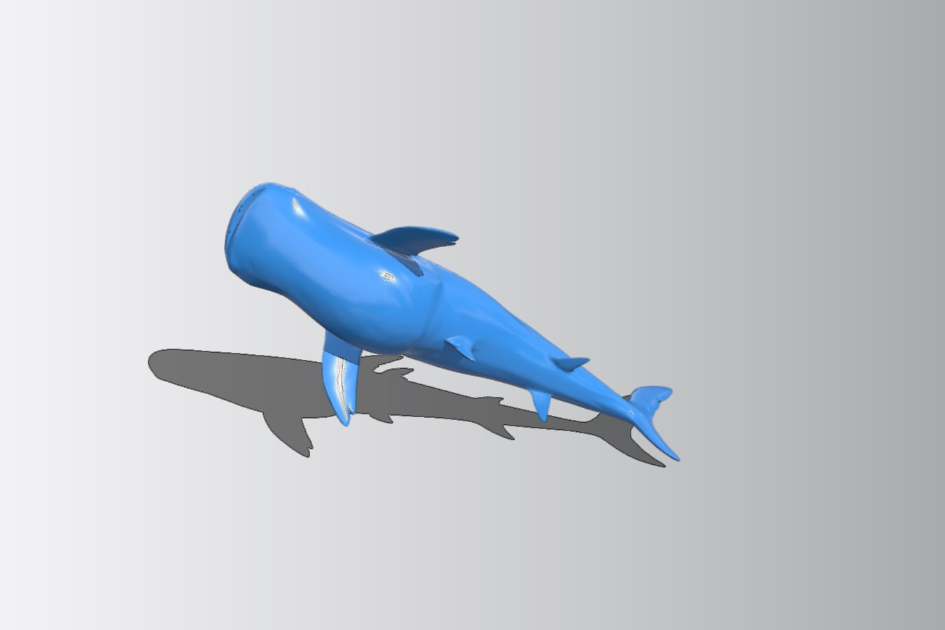 Whale shark