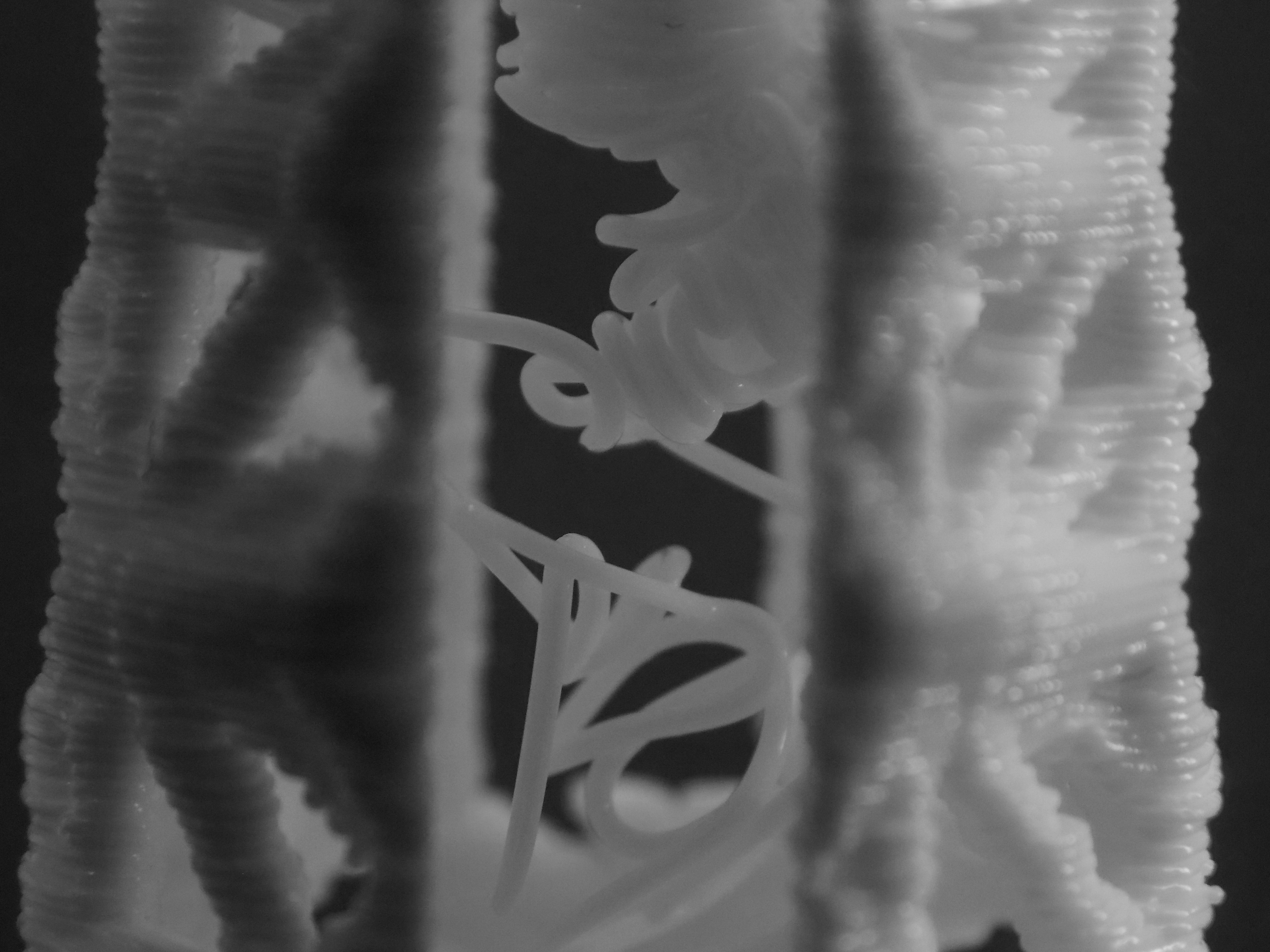 53bcee03-ed27-4b1f-a482-496e779ba3cd