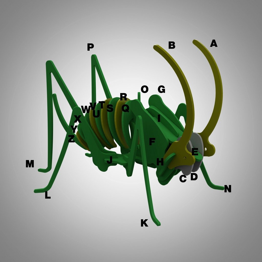 Locusts 3D puzzle