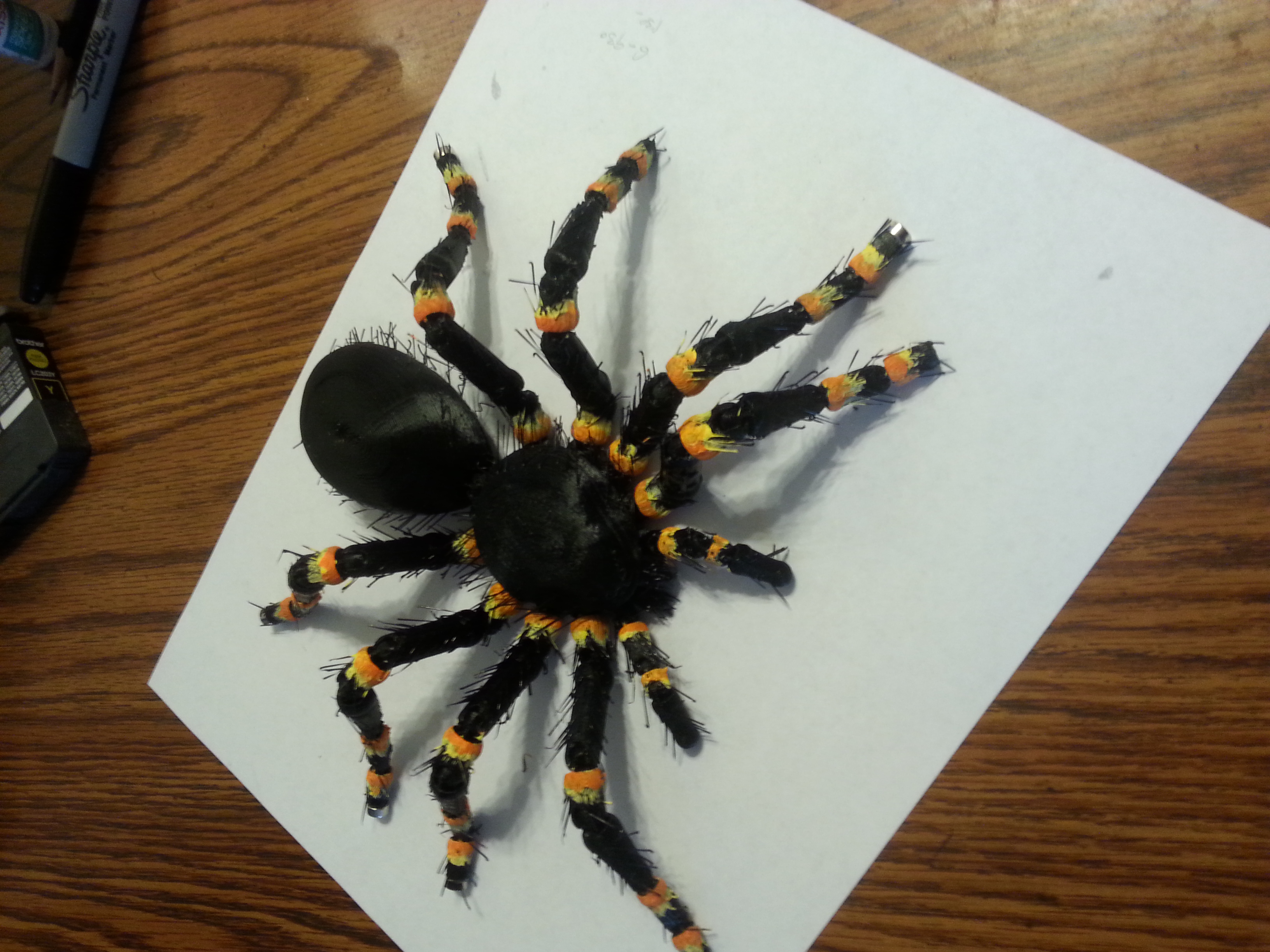 HAIRY tarantula (fridge magnet)