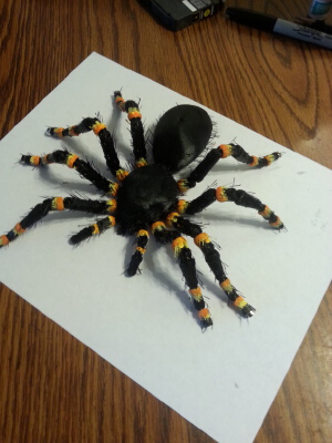 HAIRY tarantula (fridge magnet) | 3d print model