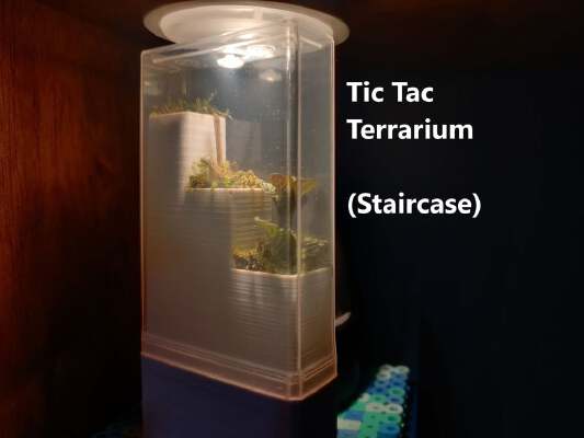 Tic Tac Nano Terrarium | 3d print model