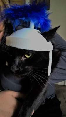 roman cat helmet | 3d print model