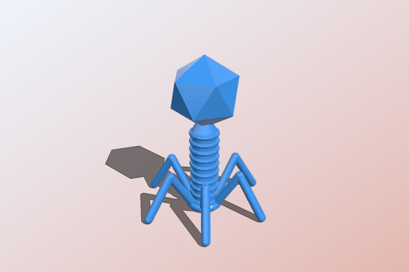 T2 Bacteriophage