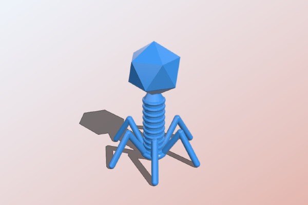 T2 Bacteriophage | 3d print model