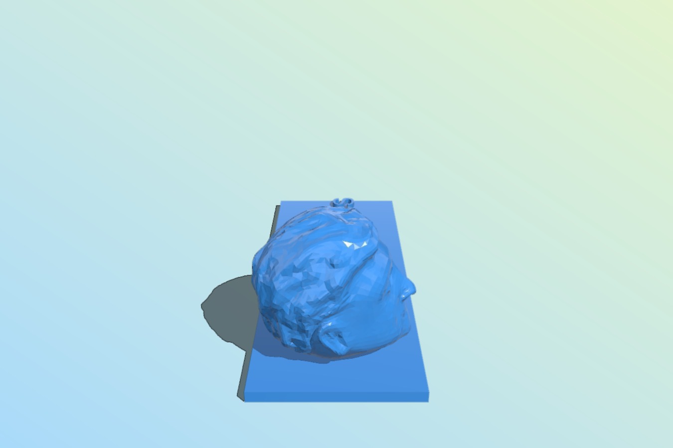 Bill Gates Head without glasses