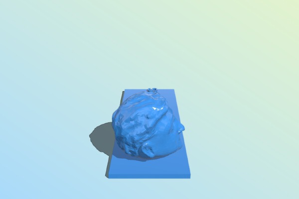 Bill Gates Head without glasses | 3d print model