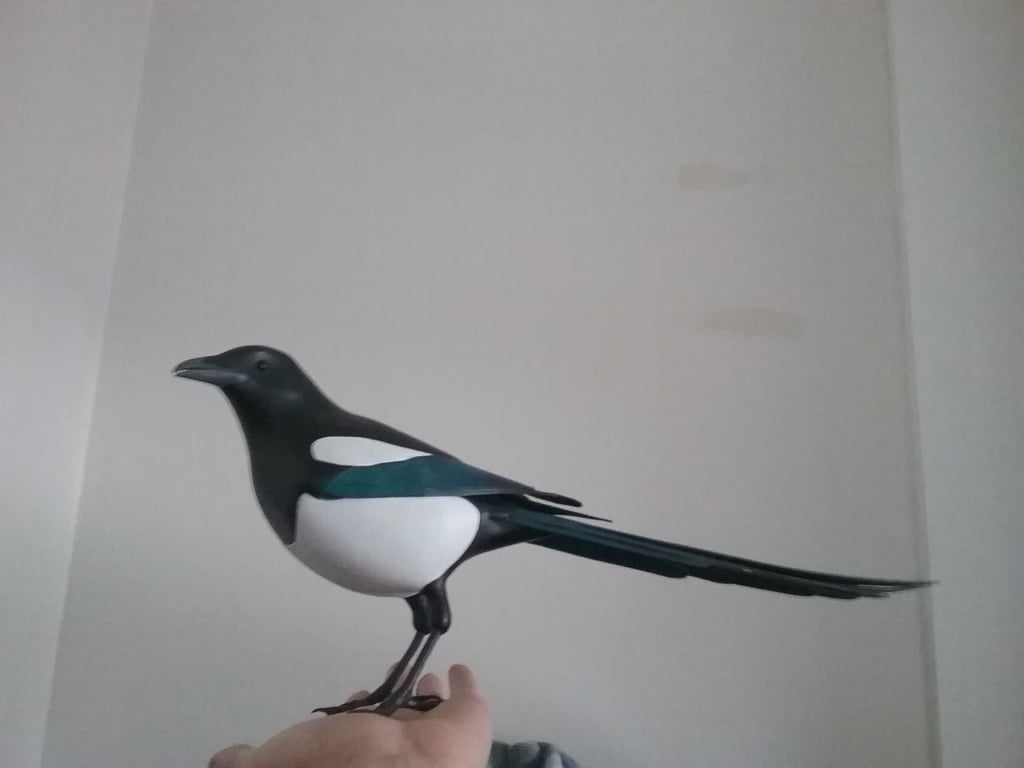 Magpie Remastered