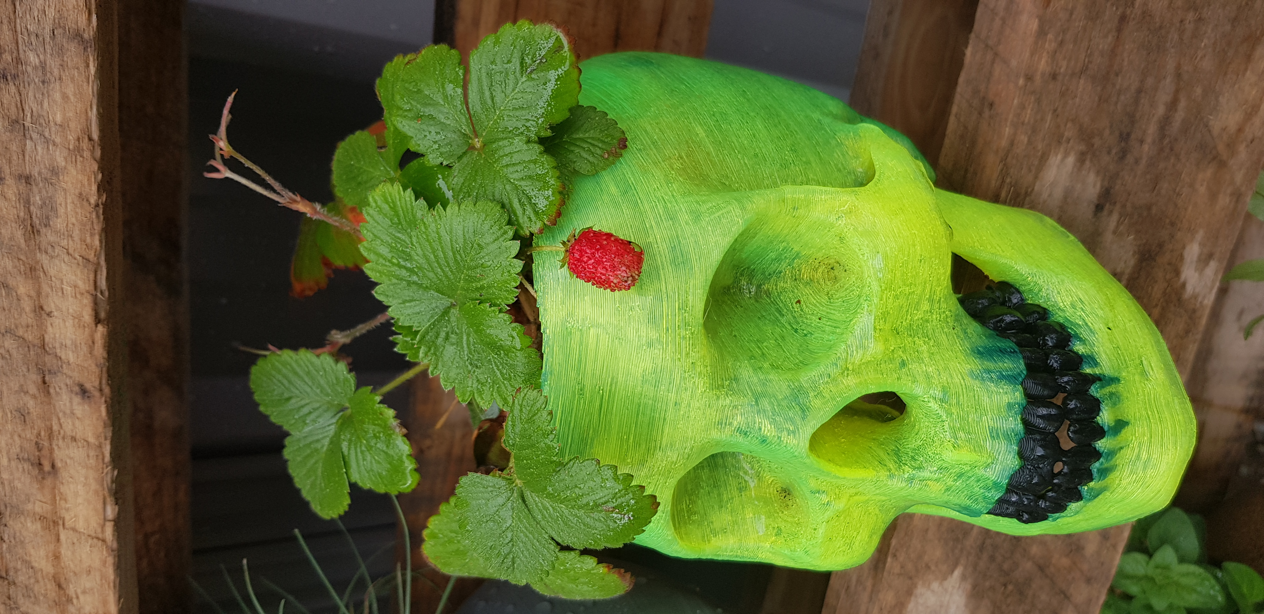 PUNK SKULL POT