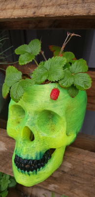 PUNK SKULL POT | 3d print model