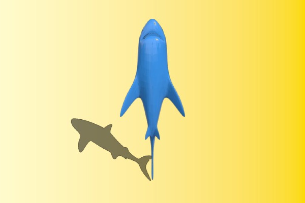 Shark | 3d print model