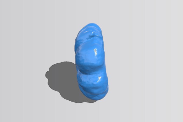 The Walnut Bun | 3d print model
