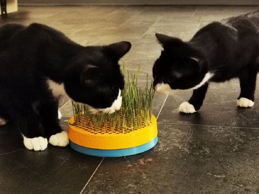 Cat Grass Planter | 3d print model