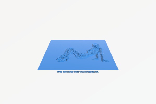 Picture of x-rays | 3d print model