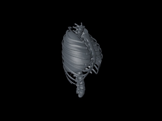body parts | 3d print model