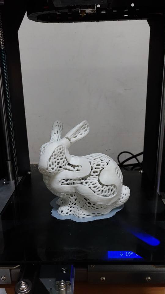 dual extrusion color bunny