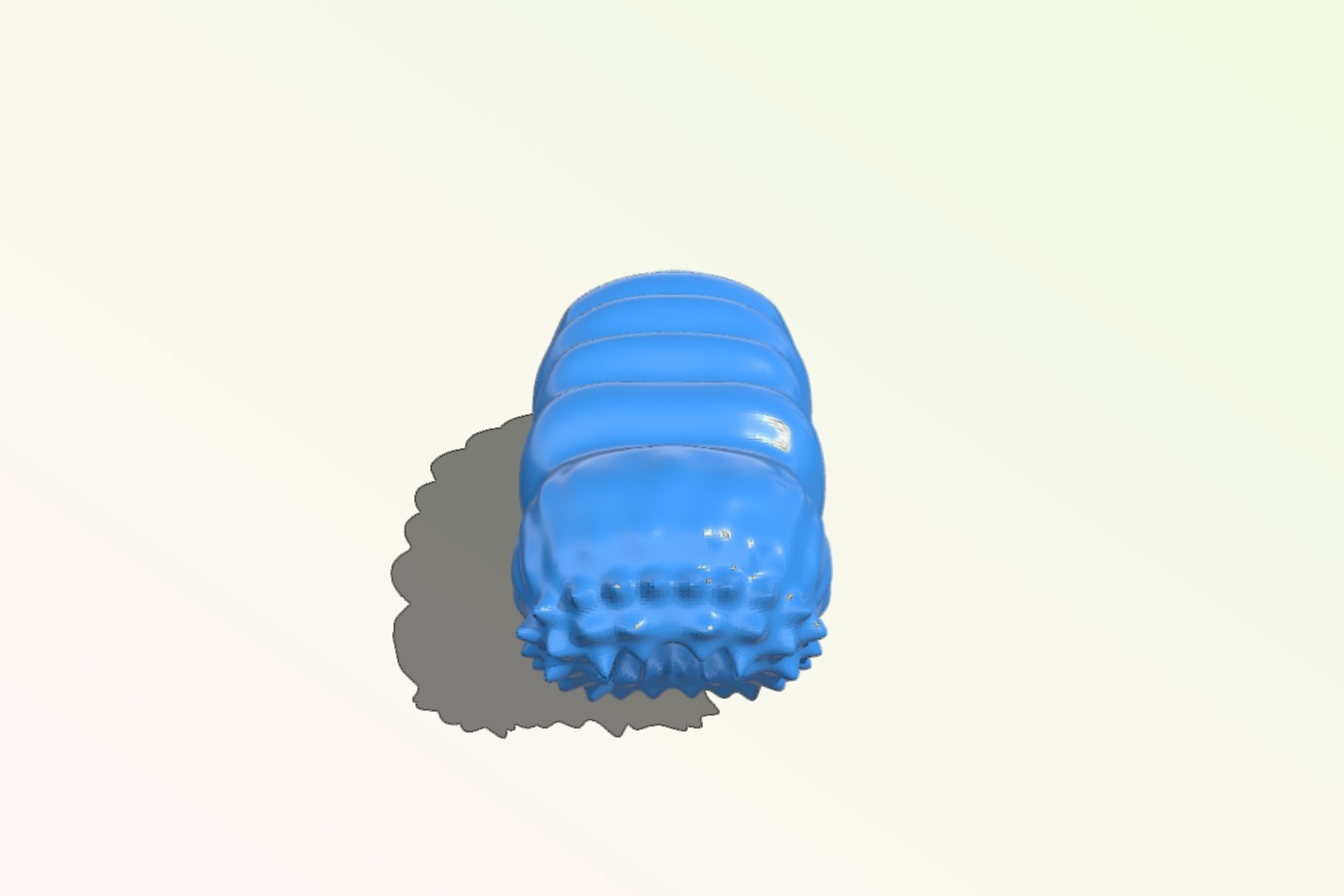 WORM