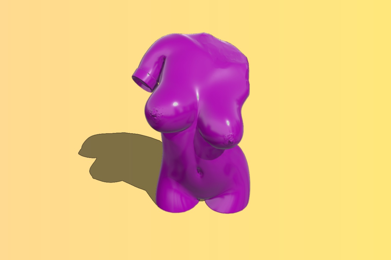 Torso