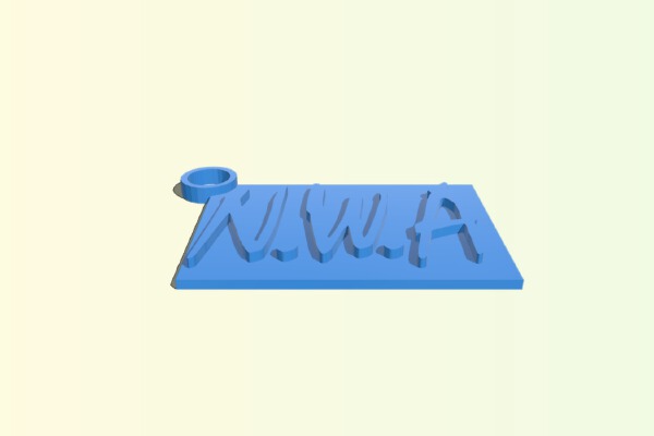 NWA Keychain | 3d print model